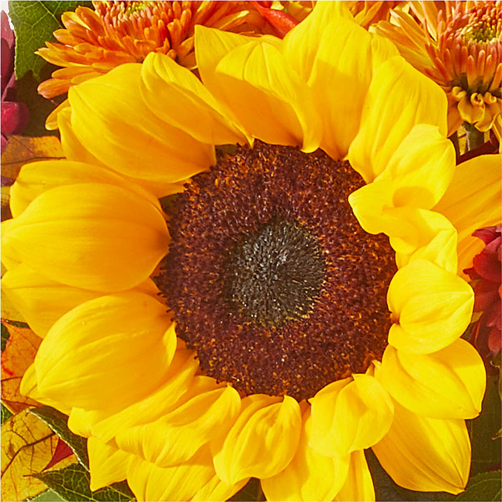 Sunny Side Bouquet –  Burns Florist, Hanceville AL