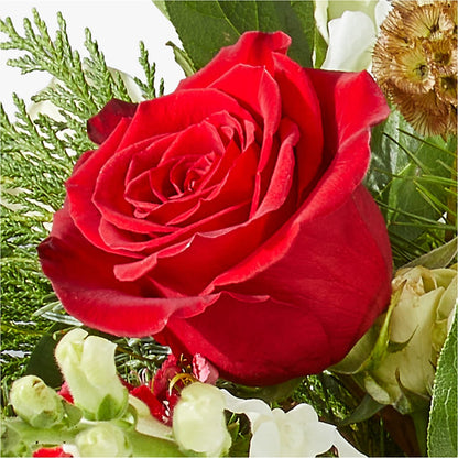 Deck the Halls Bouquet –  Burns Florist, Hanceville AL