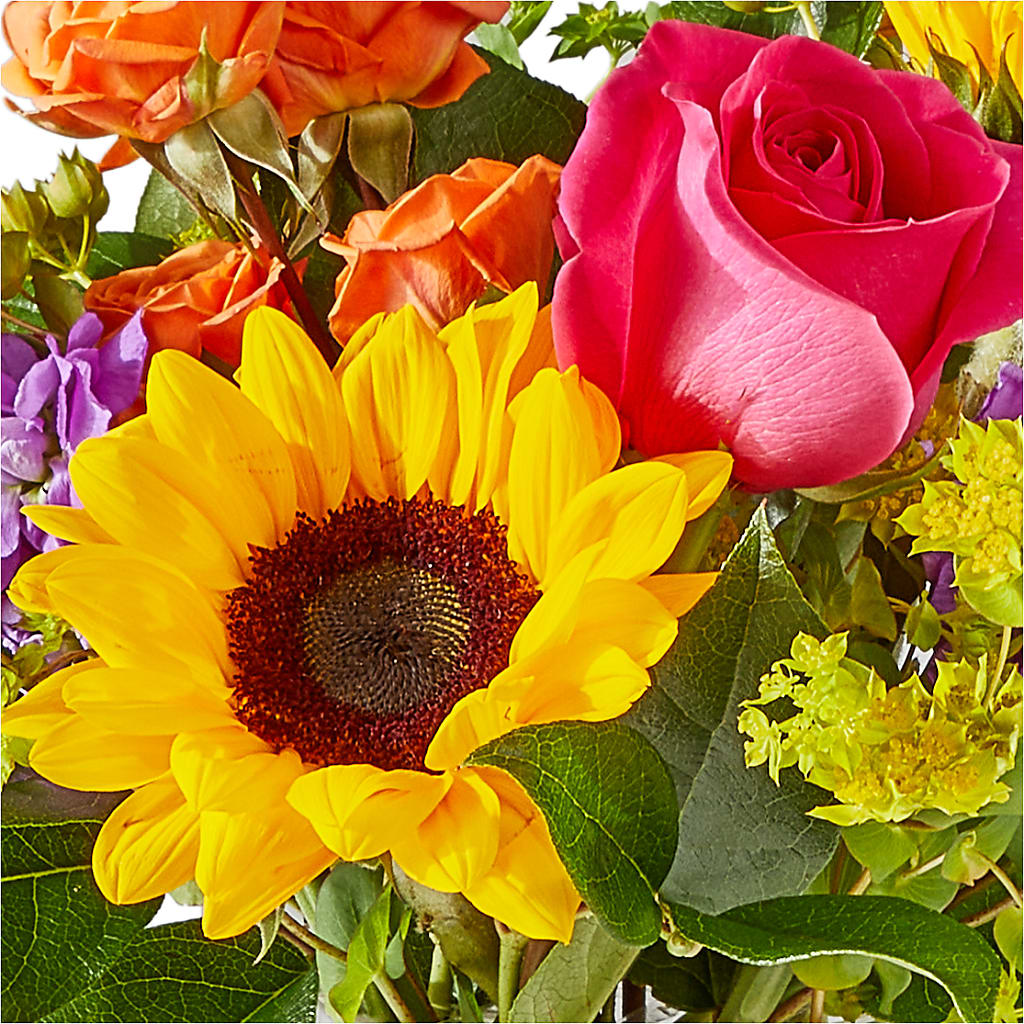 Vibrant Greetings Bouquet –  Burns Florist, Hanceville AL