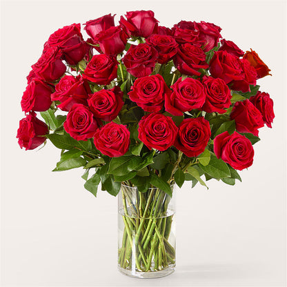 The One Red Rose Bouquet –  Burns Florist, Hanceville AL
