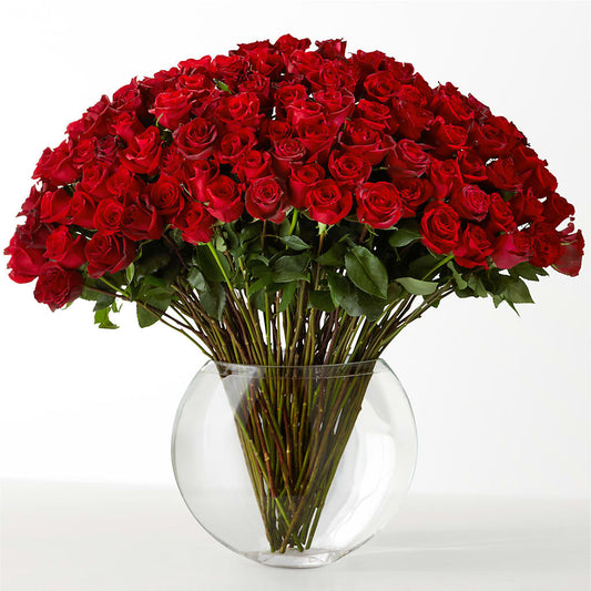 The Idealist –  Burns Florist, Hanceville AL