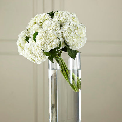 White Hydrangea Hand-Tied Bouquet –  Burns Florist, Hanceville AL