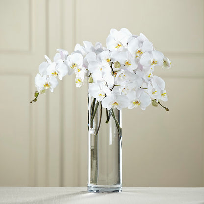 White Phalaenopsis Bouquet –  Burns Florist, Hanceville AL