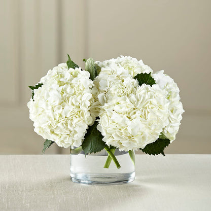 White Hydrangea Bouquet –  Burns Florist, Hanceville AL